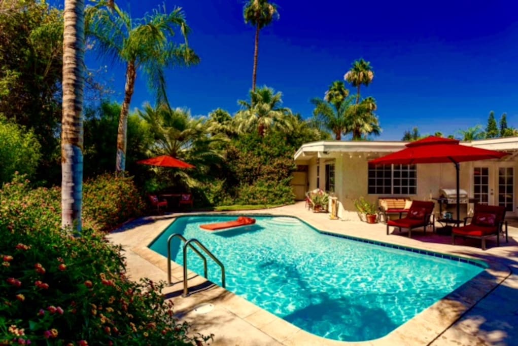 The pool and patio area perfect for relaxing & entertaining !