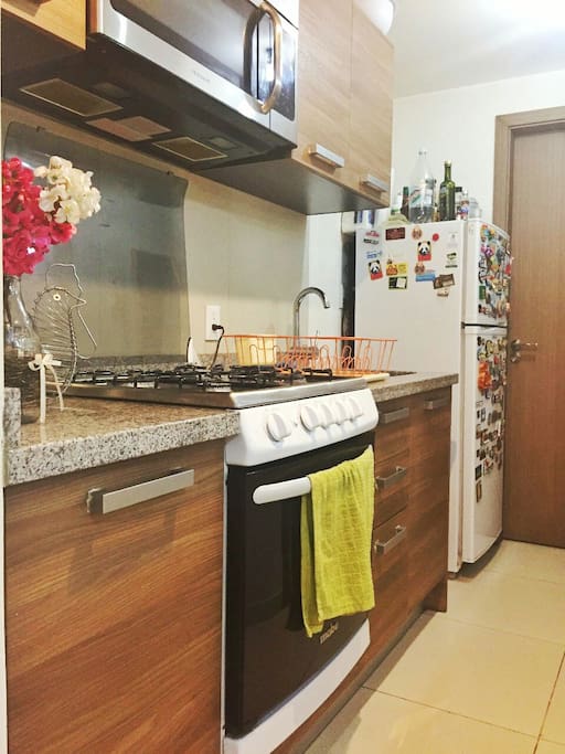 Fully equiped kitchen: fridge, microwave, stove, blender and cooking oven. We have a washing/drying machine as well.