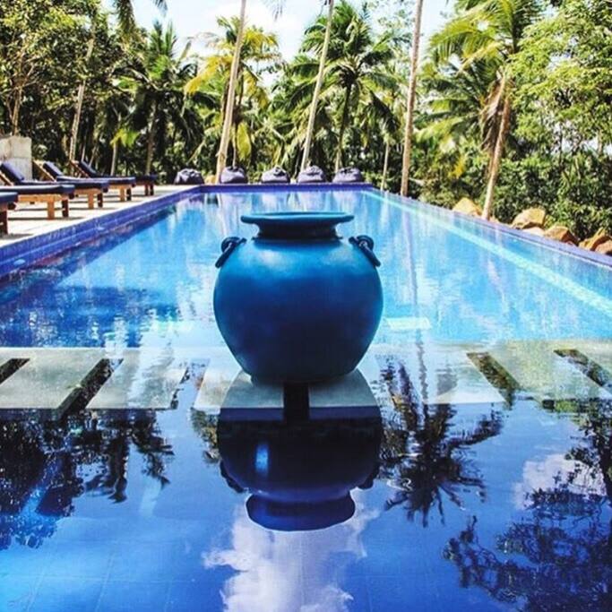 Blue infinity pool that is set amongst the jungle.