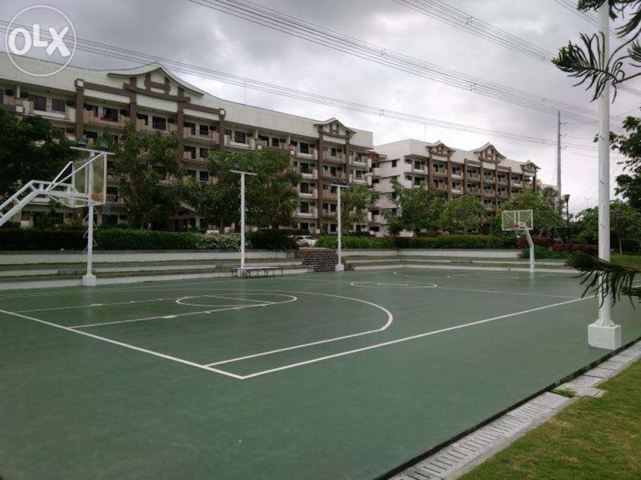 Basketball court