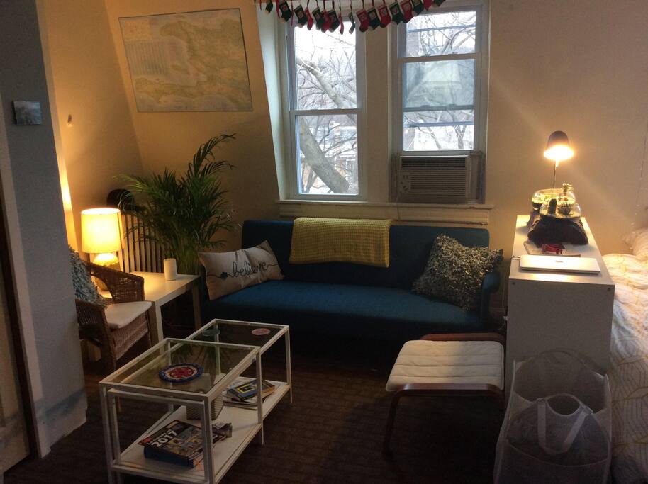 Living room area, with a couch that folds out into a bed.