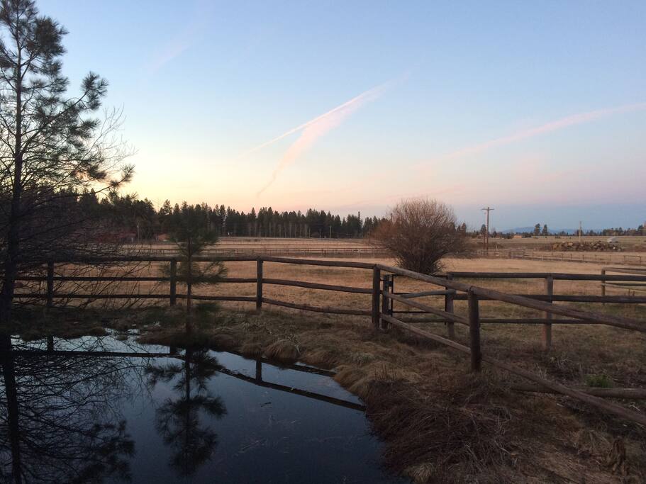 Pasture and pond