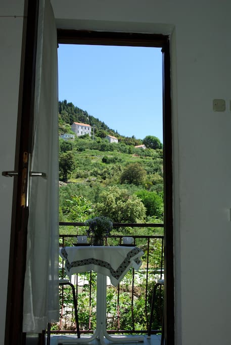 View from the apartment