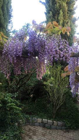 The Jardin de Félicie, near A6 and A46