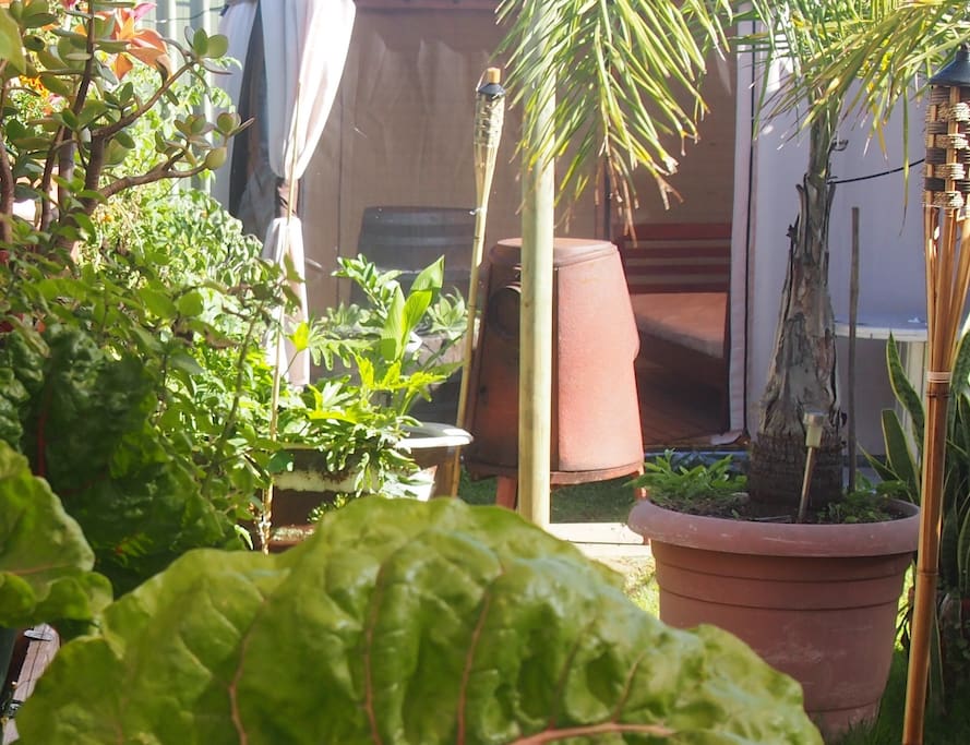 Beautiful lush gardens