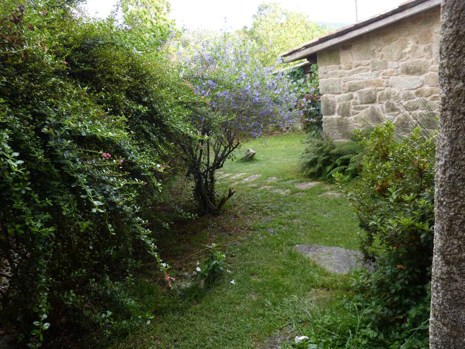Jardín delantero y camino