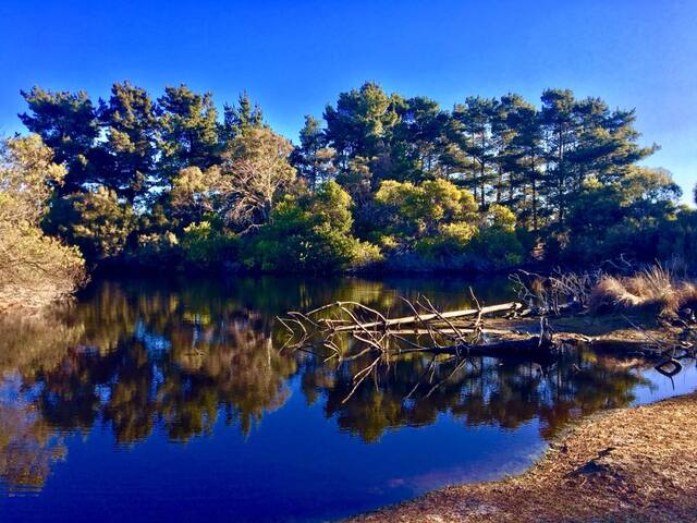 Hill House @ Hawley House gallery image 5