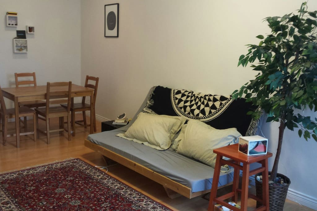 Couch folds into futon that comfortably sleeps two.