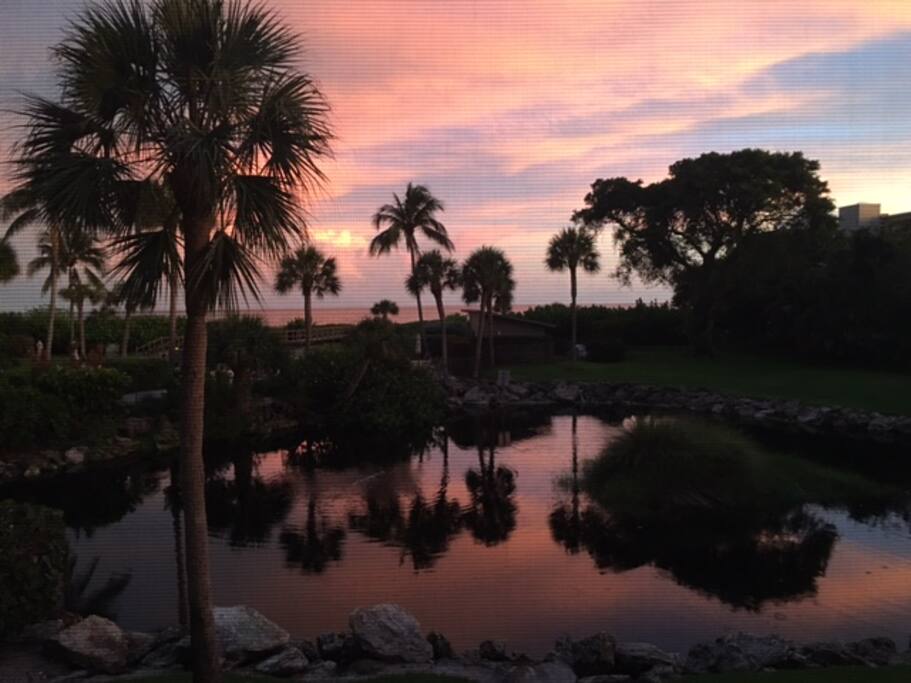 Lagoon