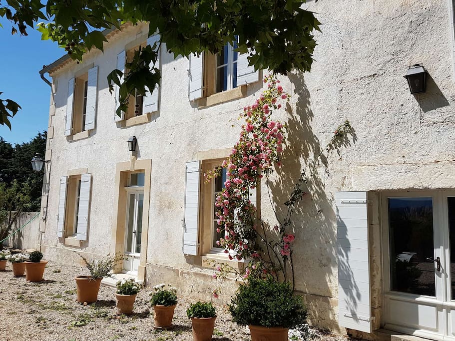 La façade du Mas Blanc vu de dessous le platane.