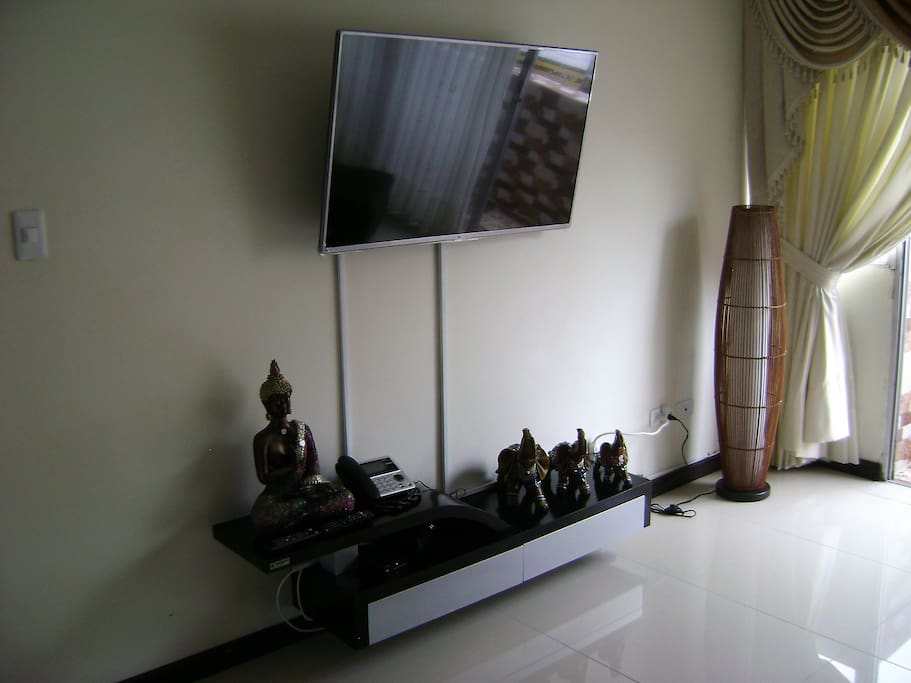 TV plasma