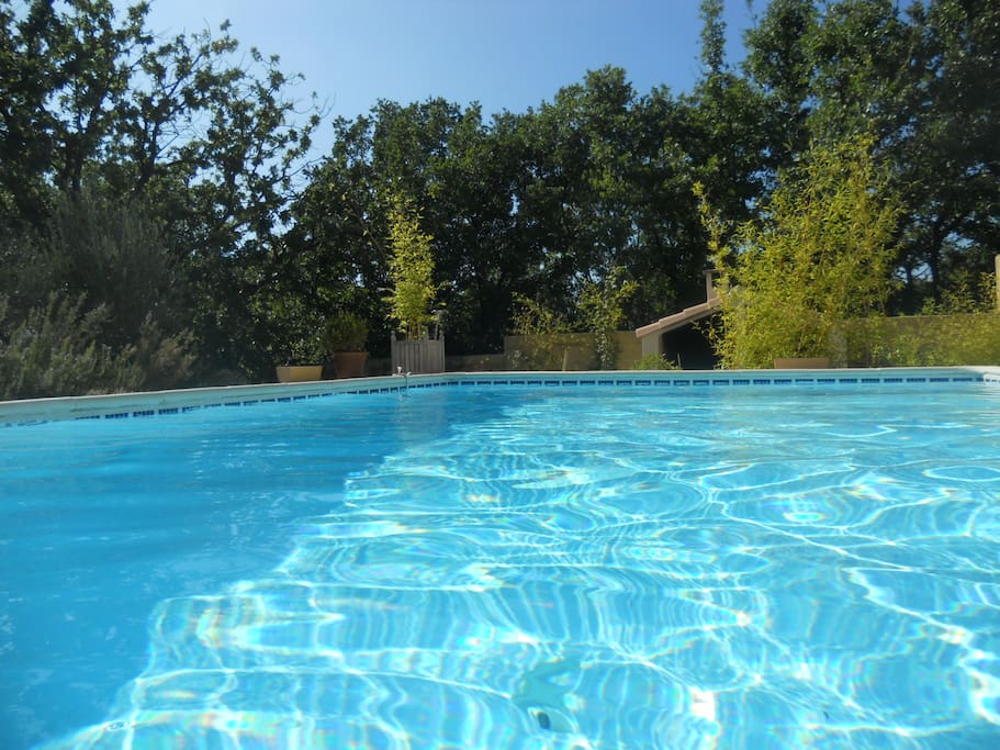 Piscine 10x5 mètres avec 1,70m de profondeur, idéale pour tous