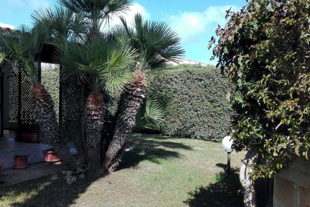 Front Garden