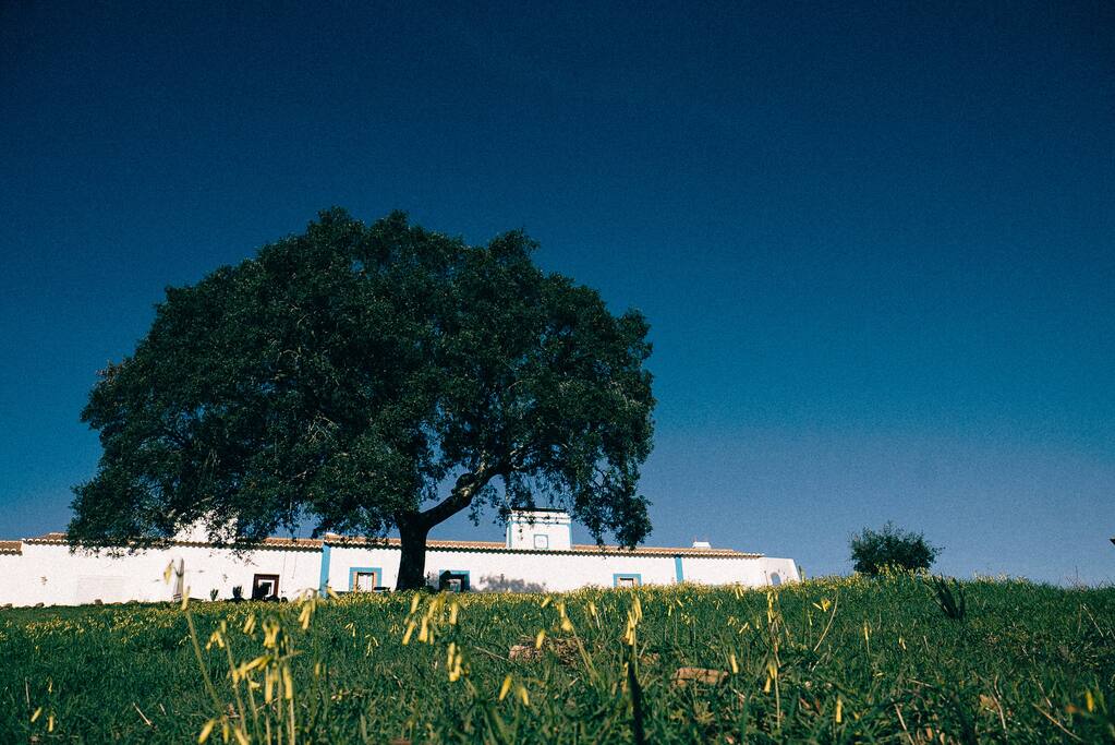 Casa Geral | Main Building