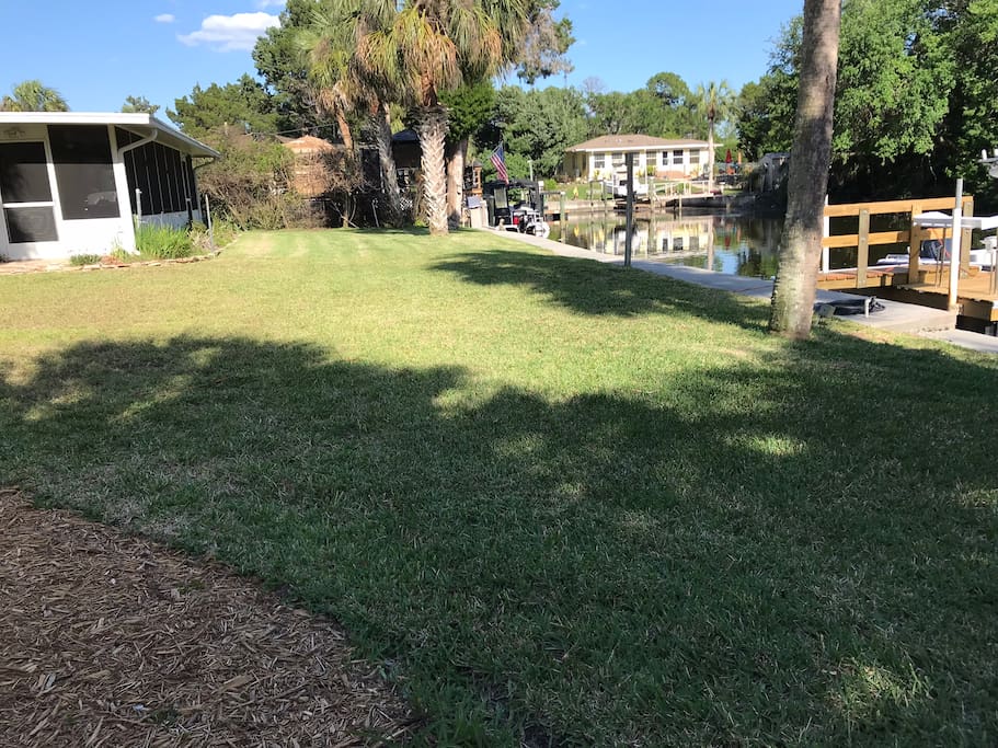 Back Yard