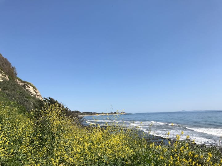 10 Best Airbnb Vacation Rentals In Goleta, California Updated 2024 Trip101