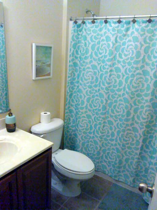 Guest Bathroom
