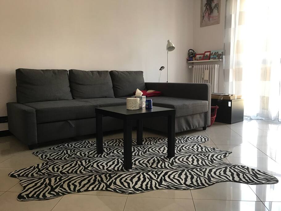 Salotto con divano letto, tavolino, tappeto zebrato e porta finestra su balcone