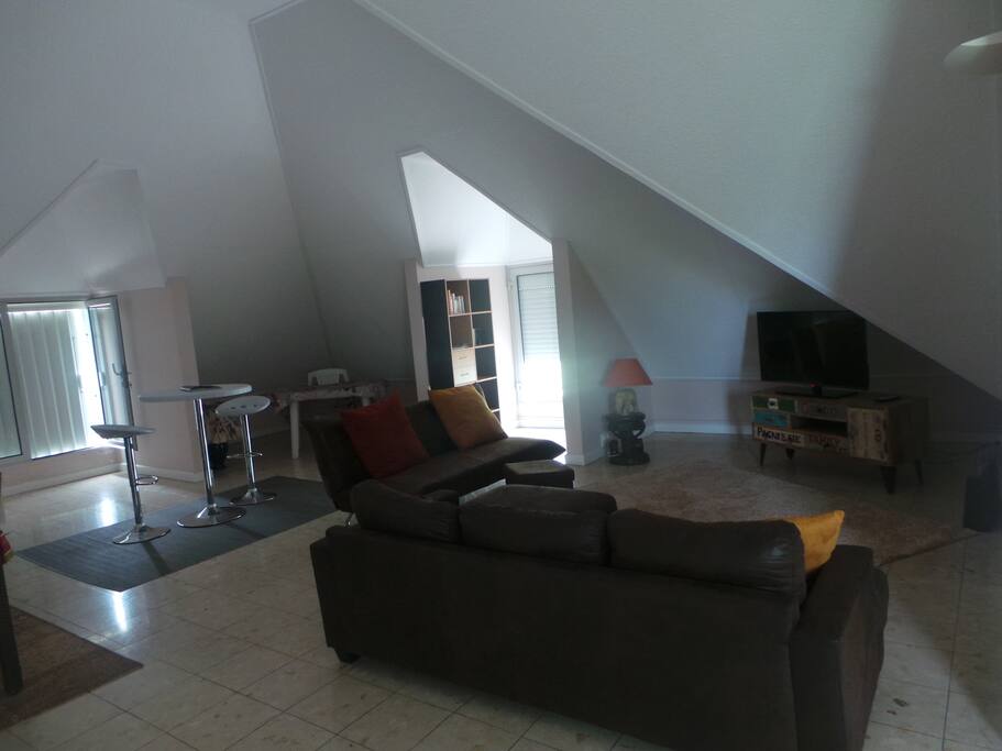 Le salon de l'appartement à partager