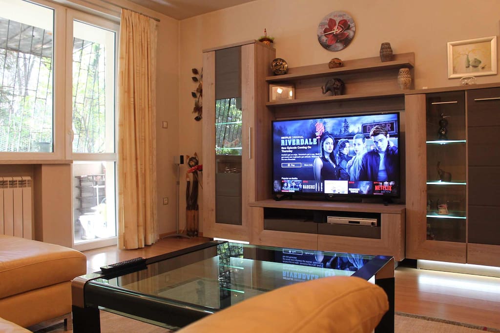 Livingroom, free hi-speed (200 Mbps) Wi-Fi internet, cable TV 55 inch, 200 channels, DVD, CD, MP3, radio, air-condition, central heating.