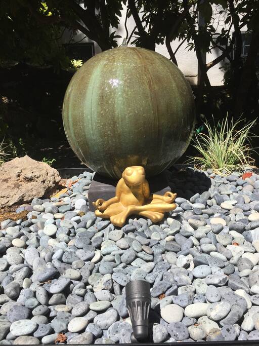 Froggy zen
