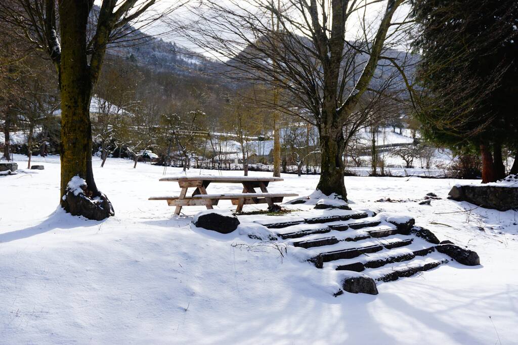 Jardin