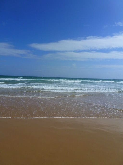 清水湾海滩
