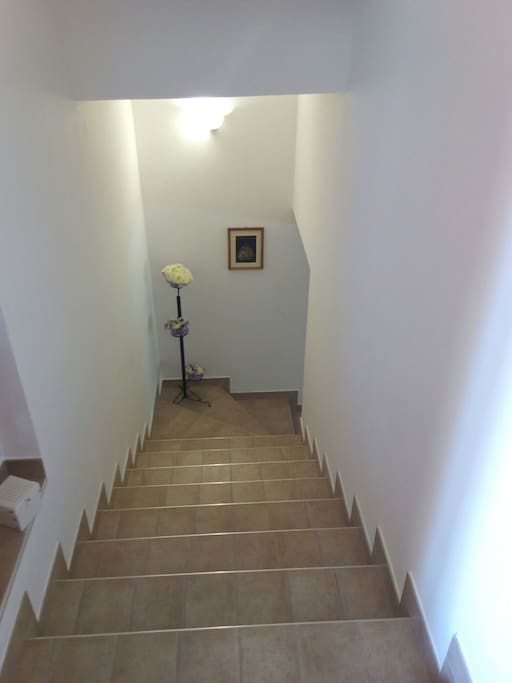 Ingresso