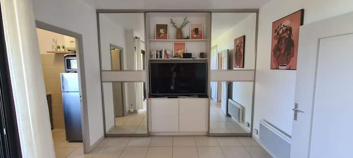 Appartement Climatisé Vue Mer, Plage Et Piscine - Calcatoggio