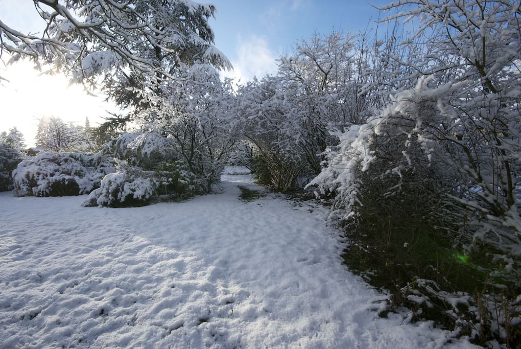 Garten im Winter