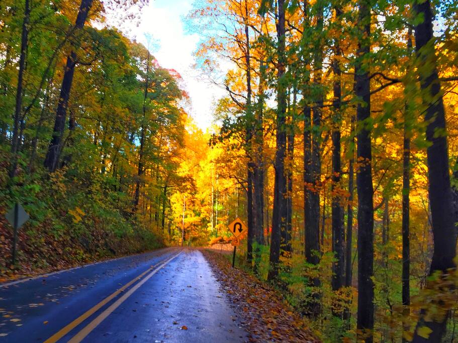 This fall drive from the Lodge on Georgia's Dragon Loop is popular for sightseers, leaf chasers, and those needing an "altitude adjustment". Review from a guest: “This was my first time in North Georgia and Shawna made it amazing. Went in for a girls weekend to relax and get some peace and quiet. Shawna made our stay wonderful. The house was amazing and the location was perfect. We very easily got to local hikes, wineries and downtown Dahlonega. At night we sat on the porch of the house and enjoyed the peaceful surroundings. We will be back for sure!”