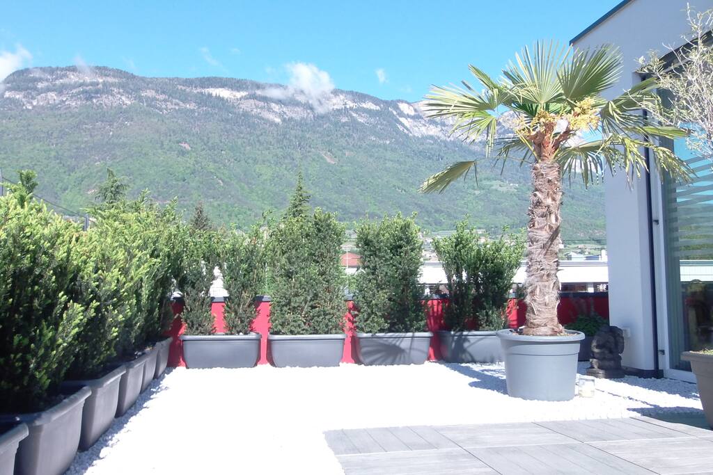 Terrazza