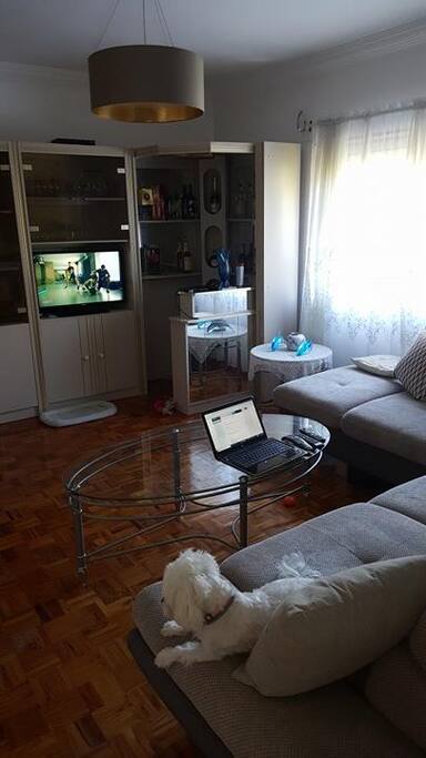 Entertainment unit with flat screen TV in large living room (dog not included)