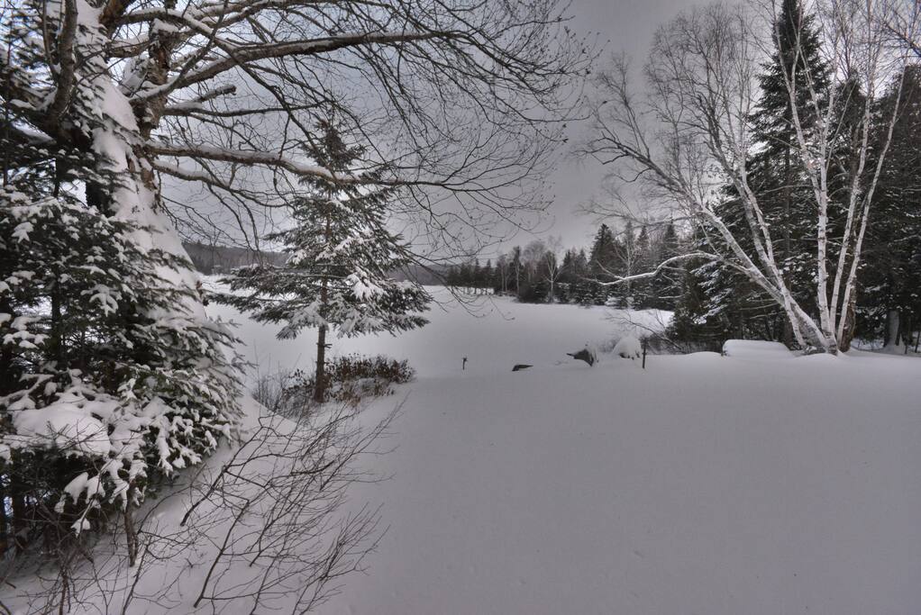 Bord du lac en hiver