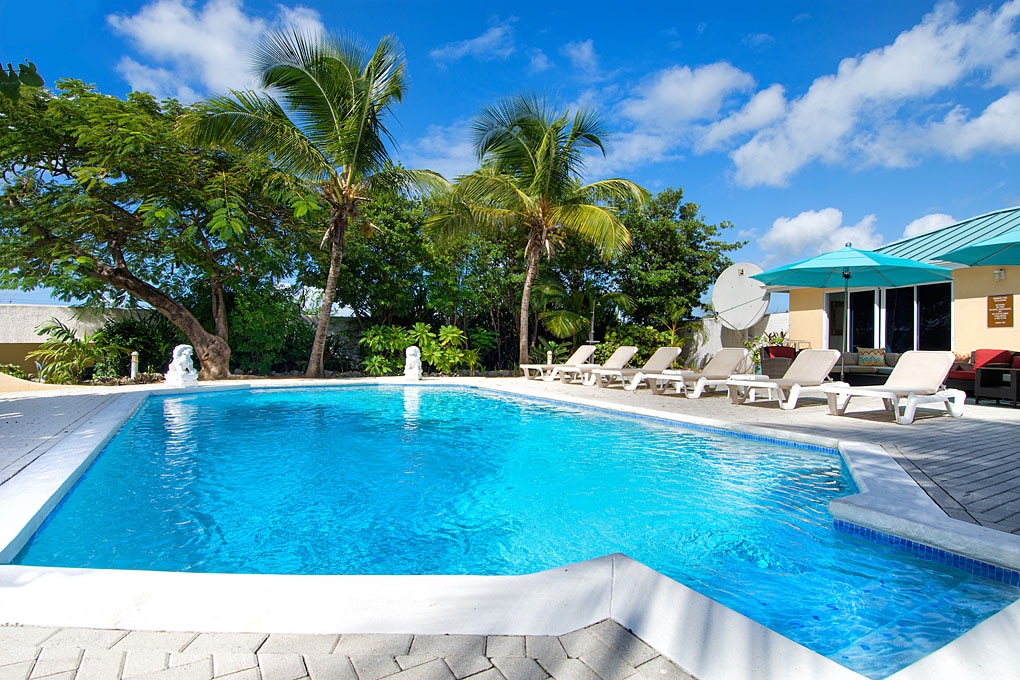 A sparkling pool is surrounded by lounge chairs under the shade of palm trees. Tropical foliage adds greenery around the pool area. The clear blue sky brightens the scene, while a covered terrace can be seen in the background, providing additional relaxation space.