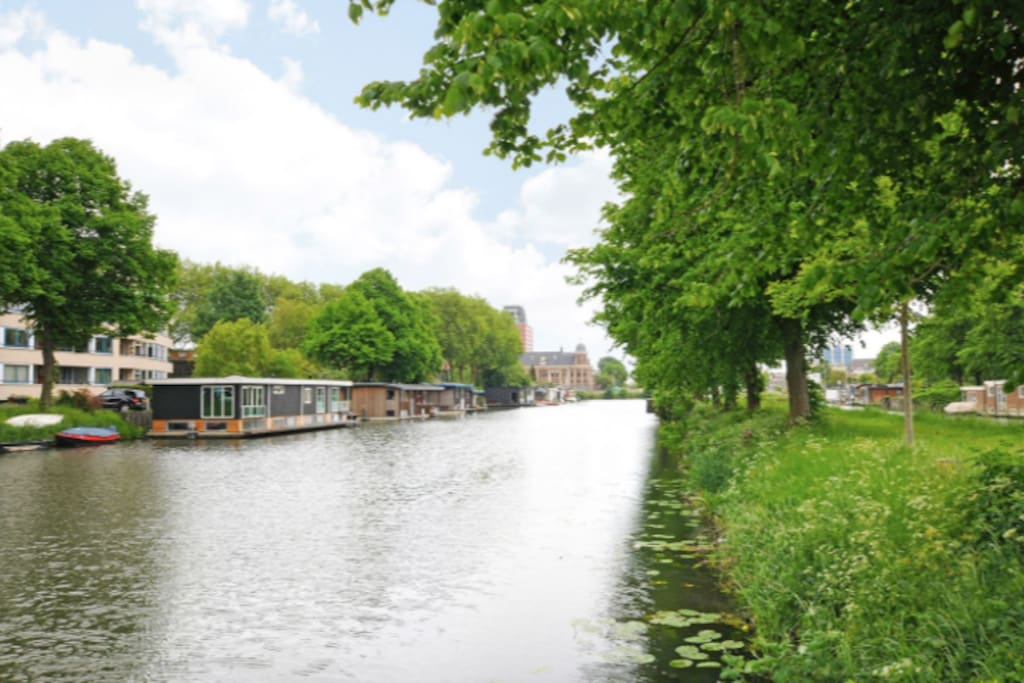 View with houseboats