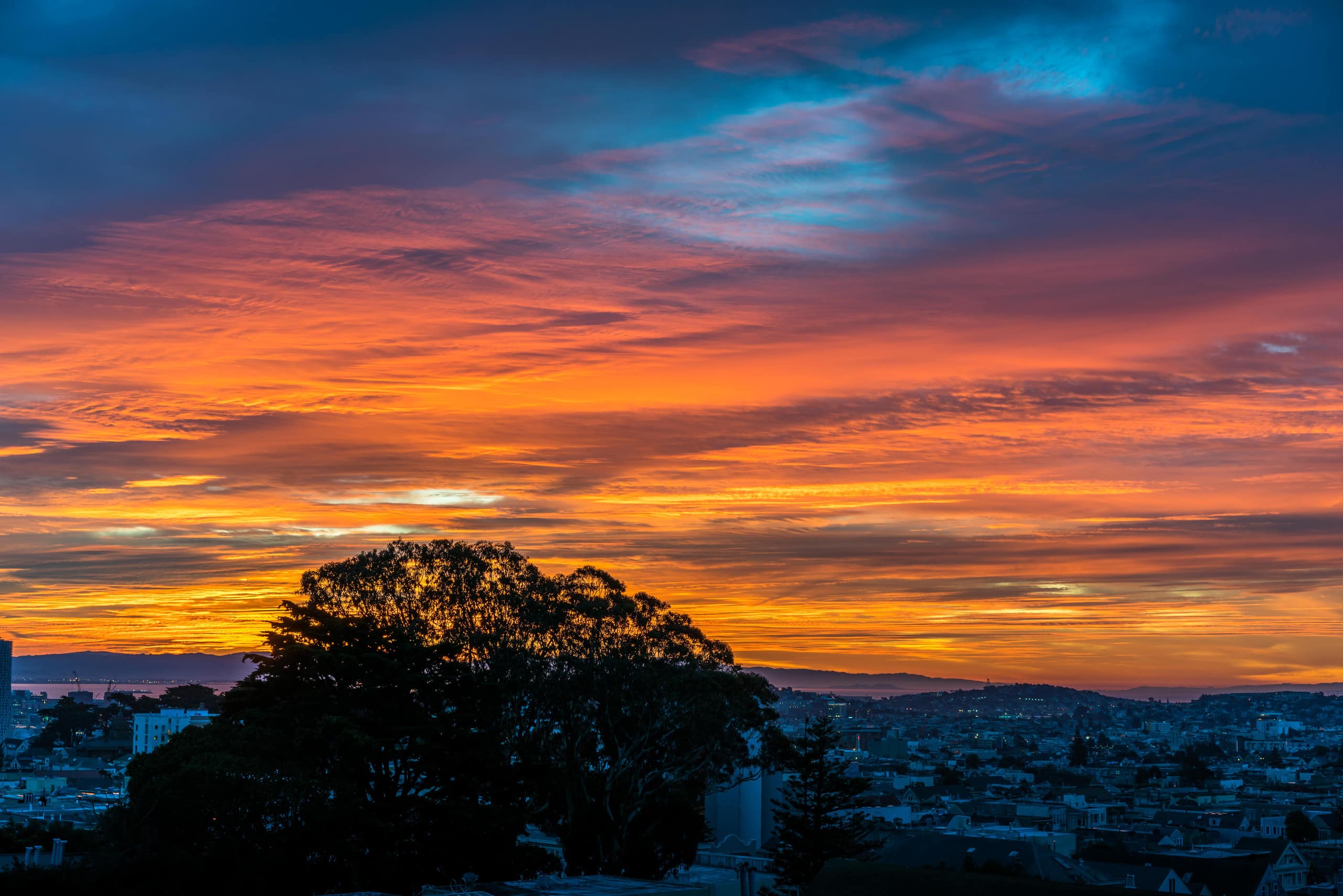 Home in San Francisco · ★4.98 · 3 bedrooms · 3 beds · 1 bath - Image 26