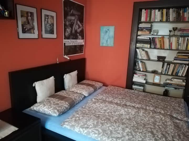 Spálňas s dvojposteľou. საძინებელი კომფორტული ორადგილიანი საწოლით