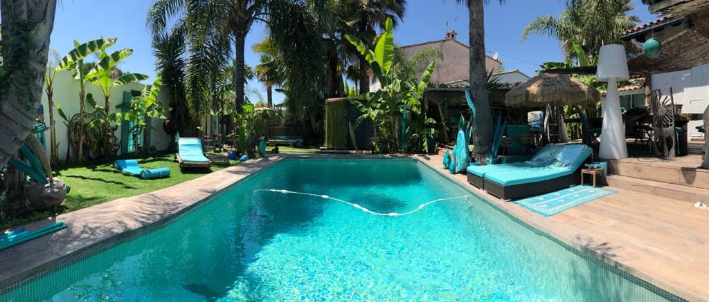 A serene swimming pool is surrounded by lush tropical foliage and sun loungers. The pool's clear water reflects the blue sky, with deck chairs positioned for relaxation. Palm trees and vibrant plants enhance the garden's exotic ambiance, creating a tranquil outdoor space.