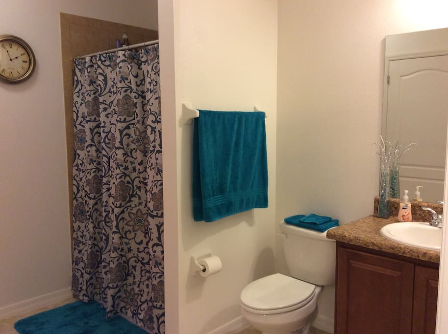 Very clean and large bathroom with walk in shower (no tub).