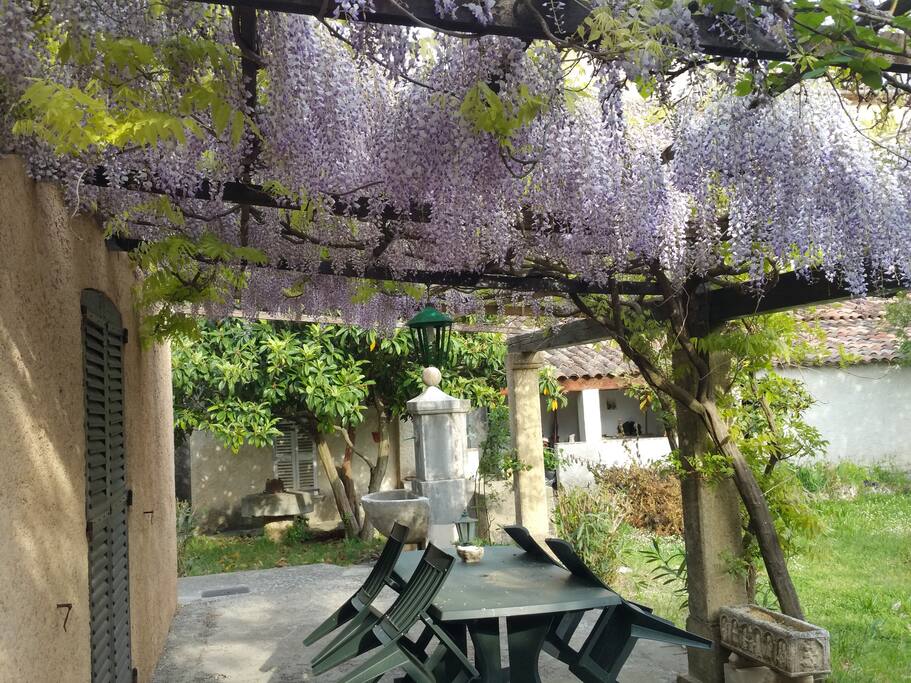 la terrasse