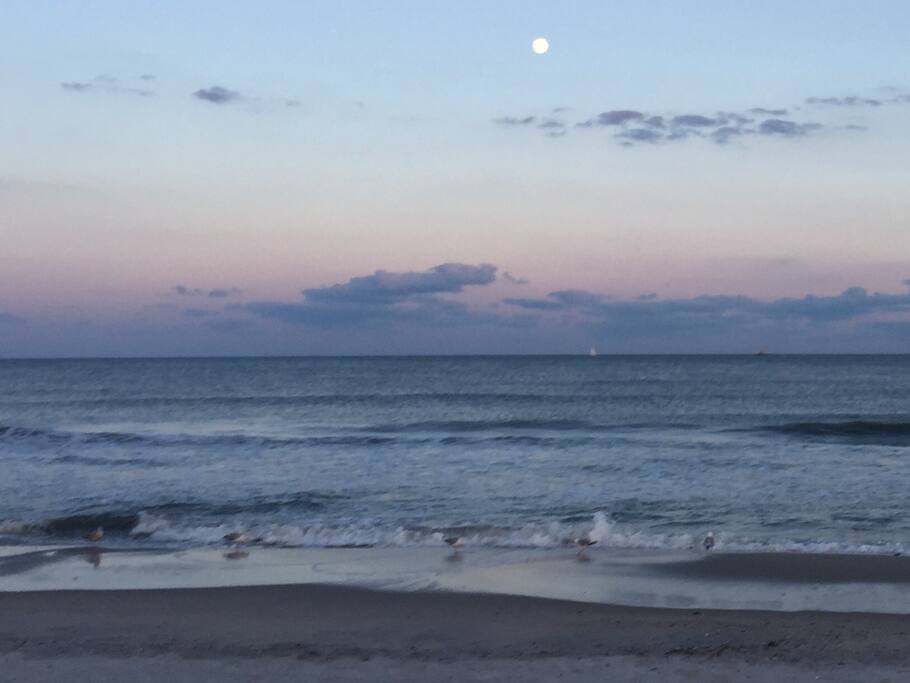 enjoy sunsets on the beach
