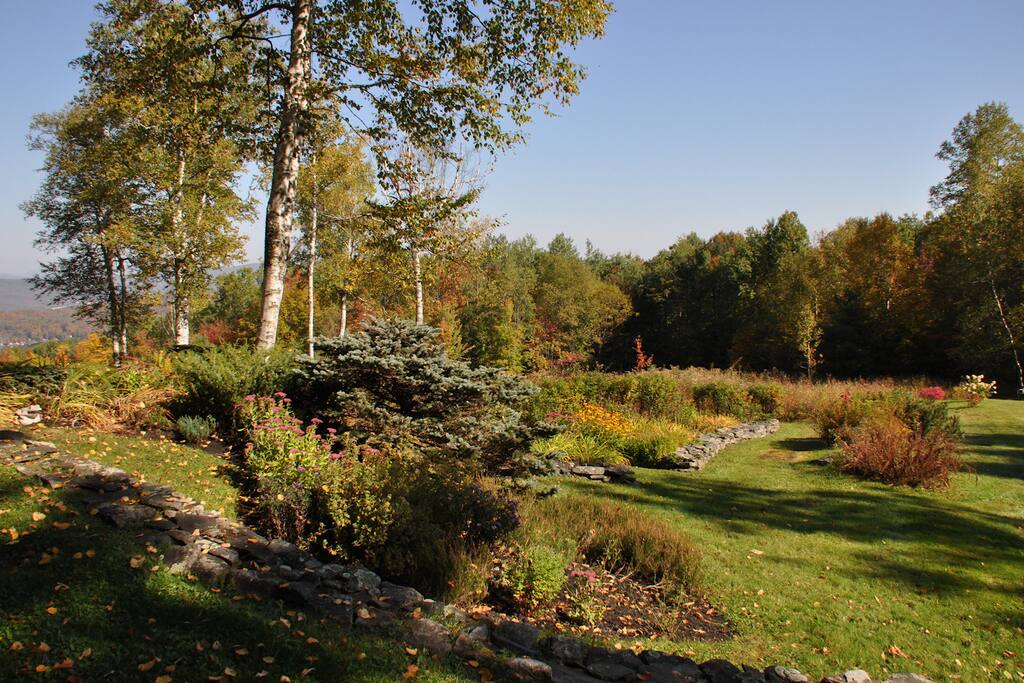 Front yard