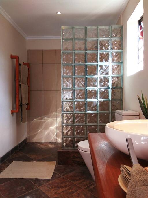 Bathroom (with shower) + Toilet