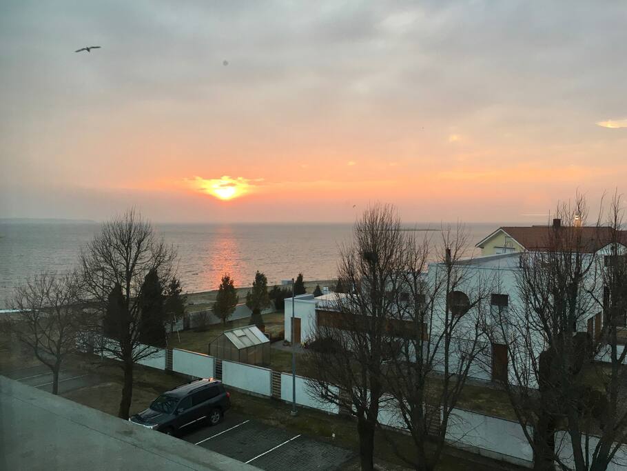 Evening view from living room window