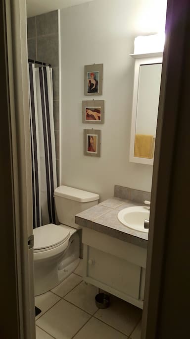 In room bathroom.