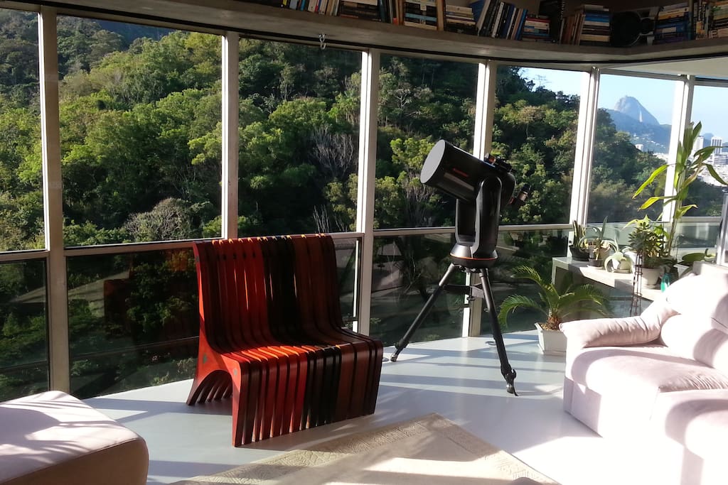 Living room (up to 8 seated people on sofas and the designer wood chair).