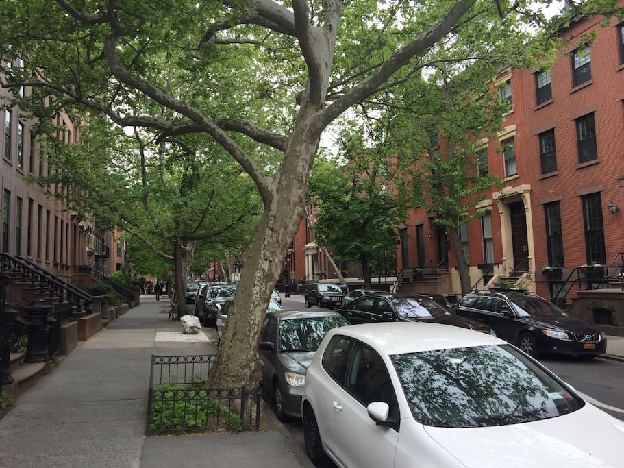 Joralemon Street