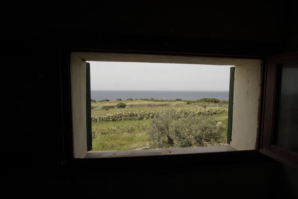 bedroom's window