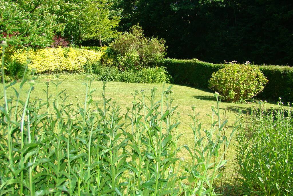 Lawn to the front of the Cottage